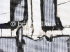 bw5-1